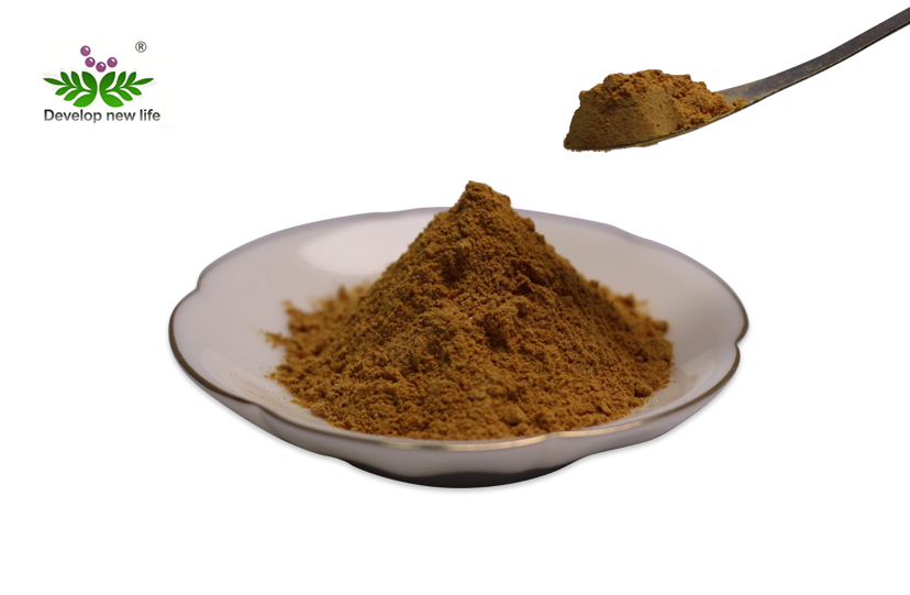 Gentian Root Extract Powder